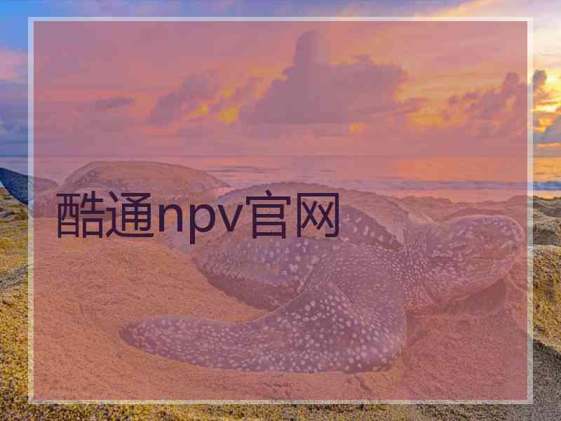 酷通npv官网