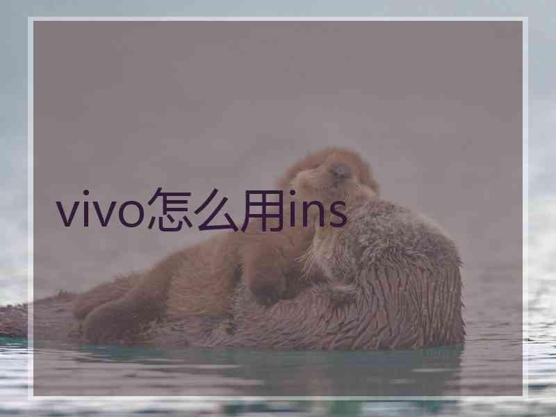 vivo怎么用ins