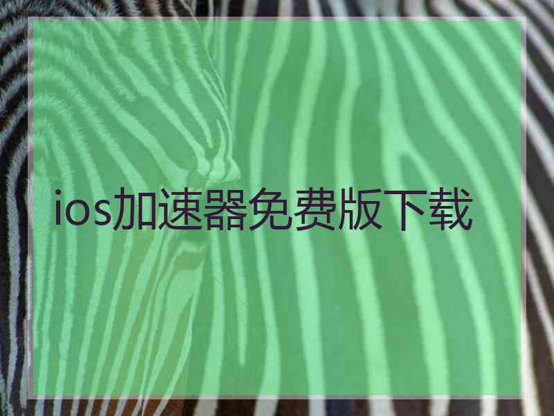 ios加速器免费版下载