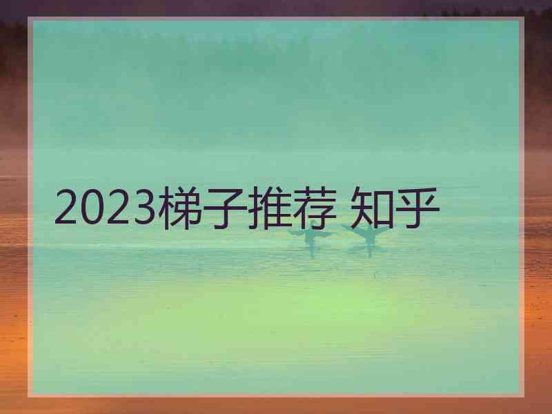 2023梯子推荐 知乎