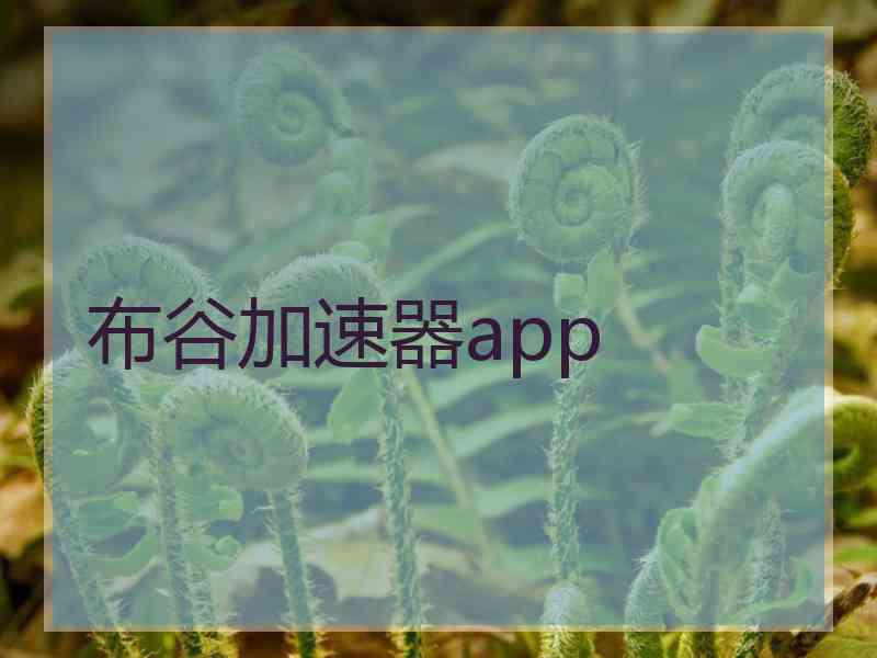 布谷加速器app