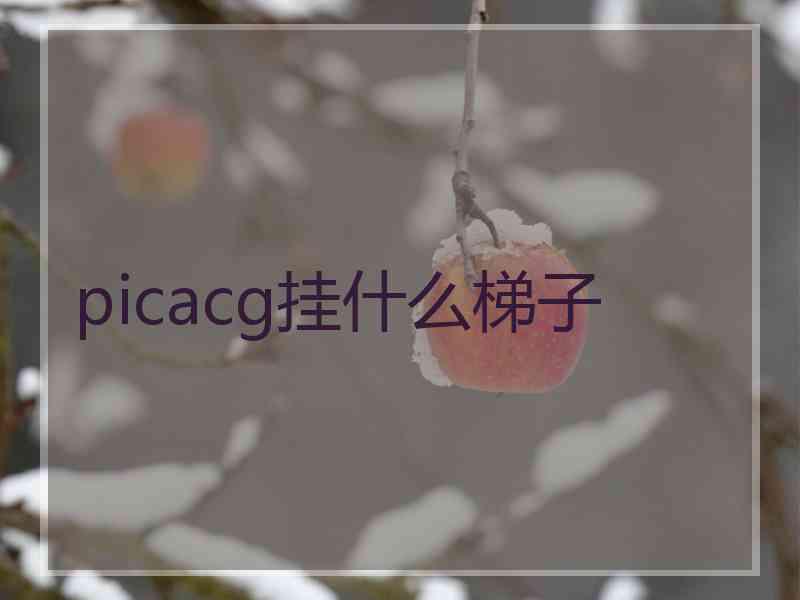 picacg挂什么梯子