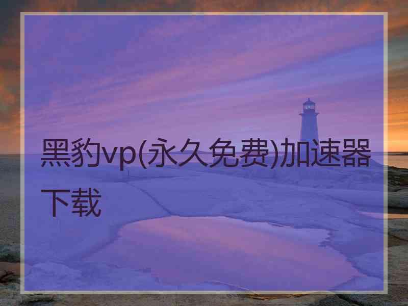 黑豹vp(永久免费)加速器下载