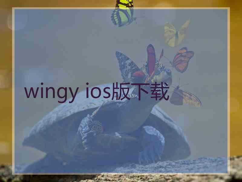 wingy ios版下载