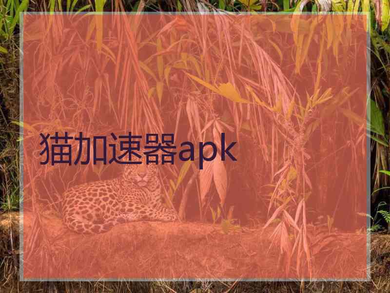 猫加速器apk