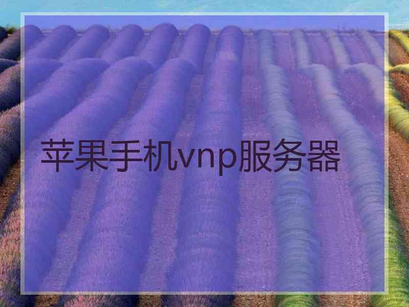 苹果手机vnp服务器