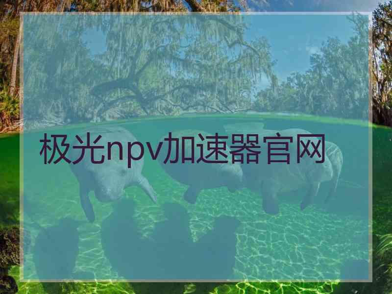 极光npv加速器官网