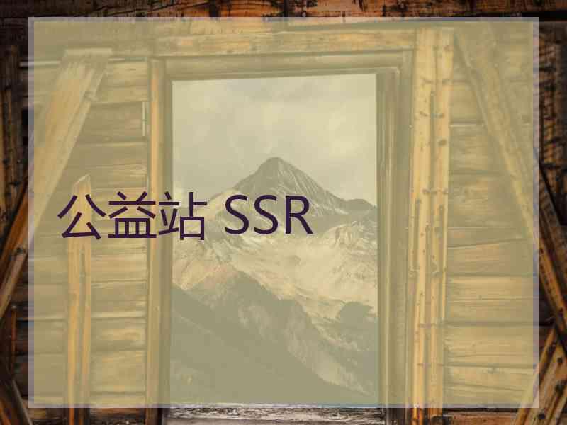 公益站 SSR