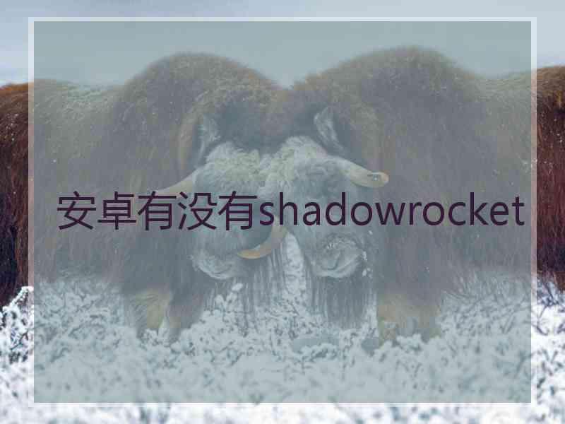 安卓有没有shadowrocket