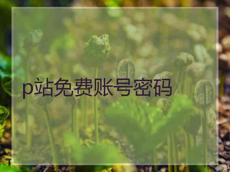 p站免费账号密码