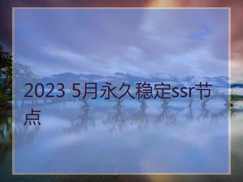 2023 5月永久稳定ssr节点