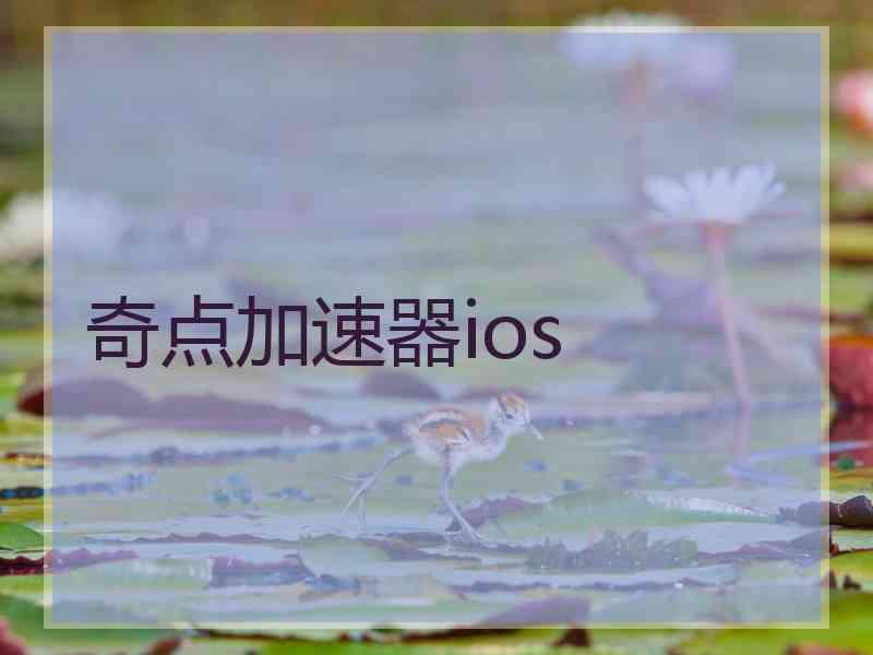 奇点加速器ios