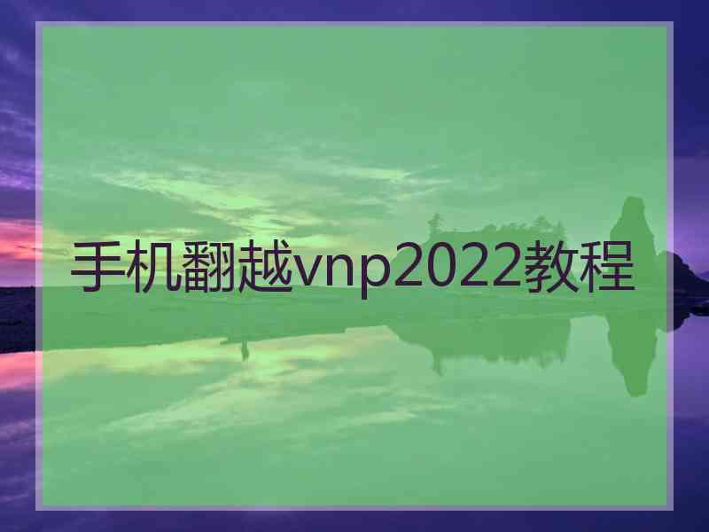 手机翻越vnp2022教程