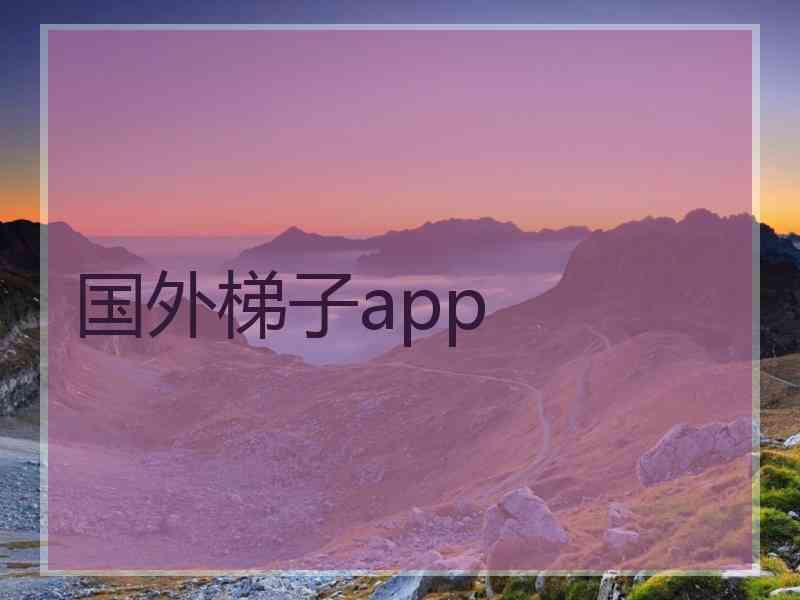 国外梯子app