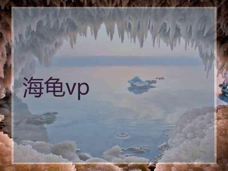 海龟vp