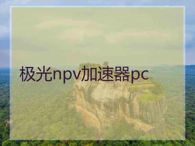 极光npv加速器pc