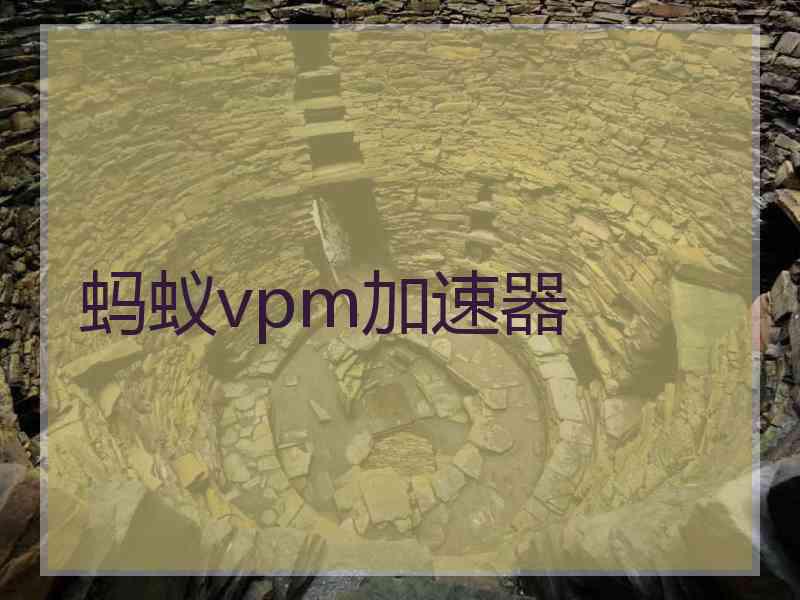 蚂蚁vpm加速器