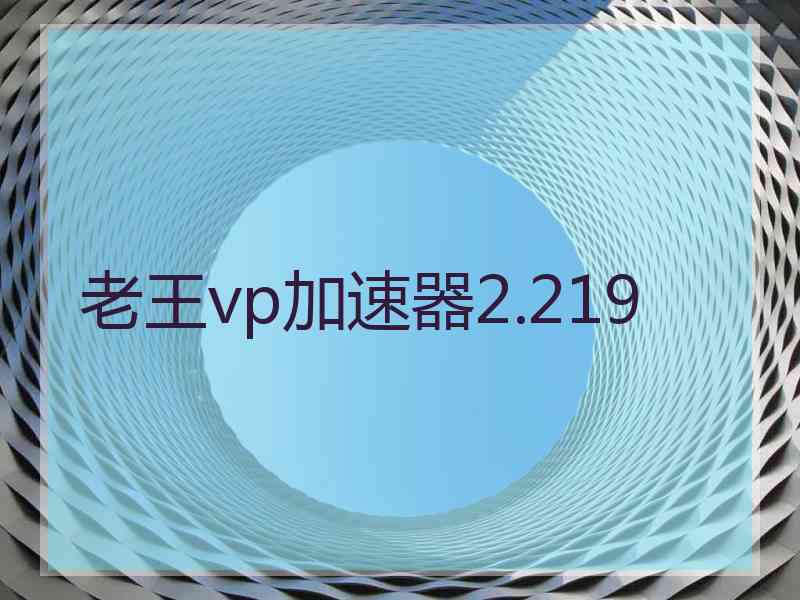 老王vp加速器2.219