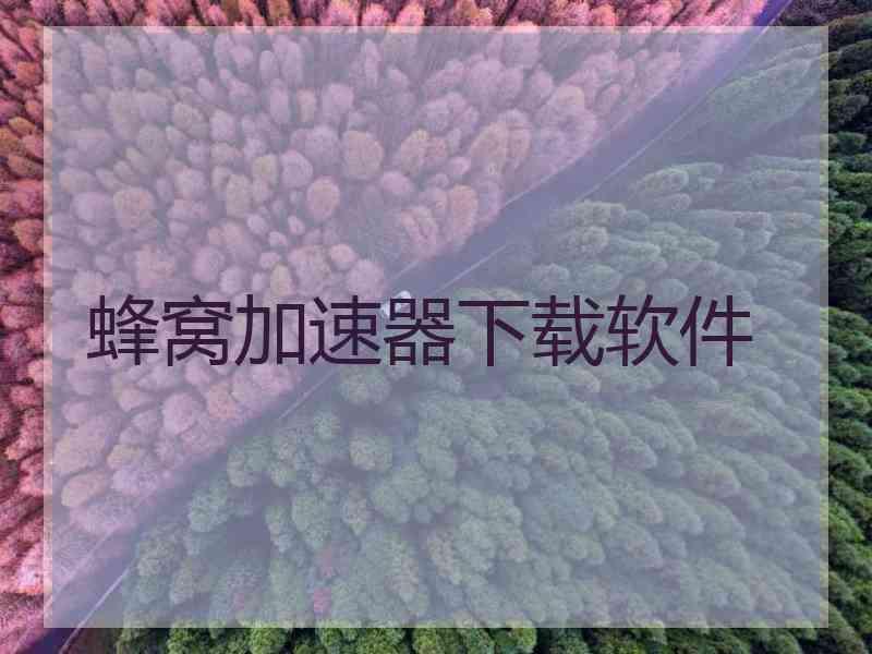 蜂窝加速器下载软件