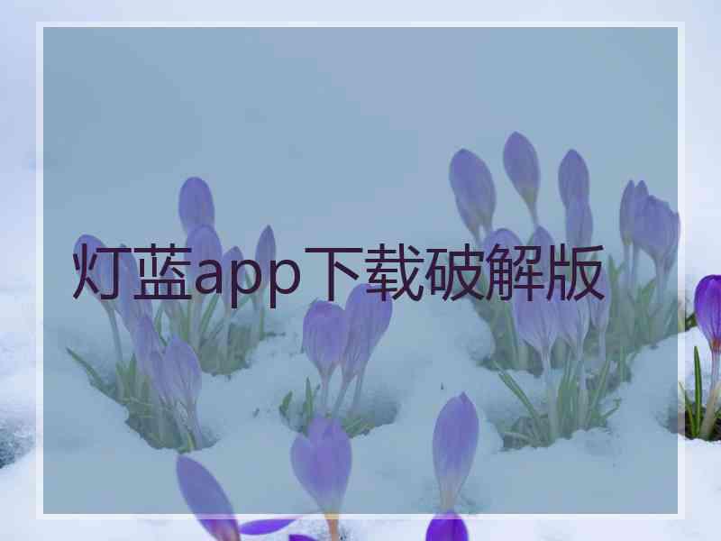 灯蓝app下载破解版