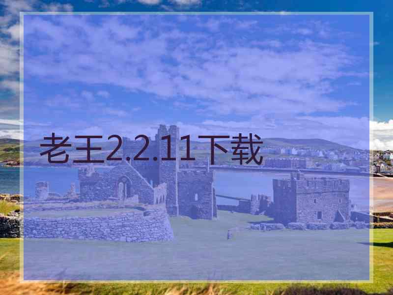 老王2.2.11下载