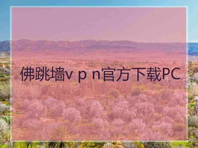 佛跳墙v p n官方下载PC