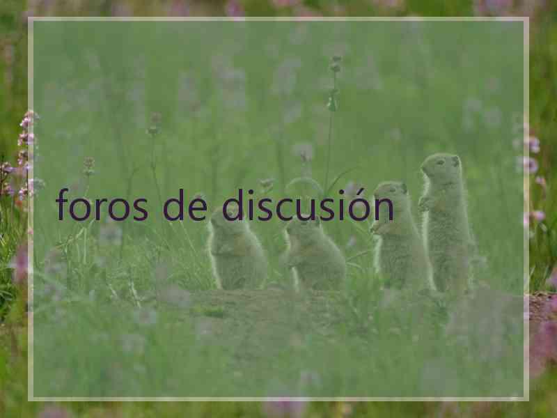 foros de discusión