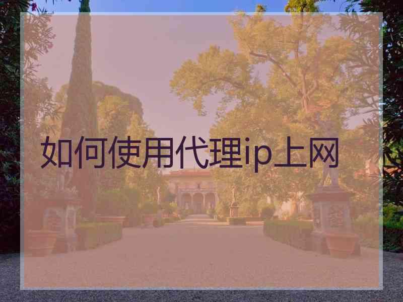 如何使用代理ip上网