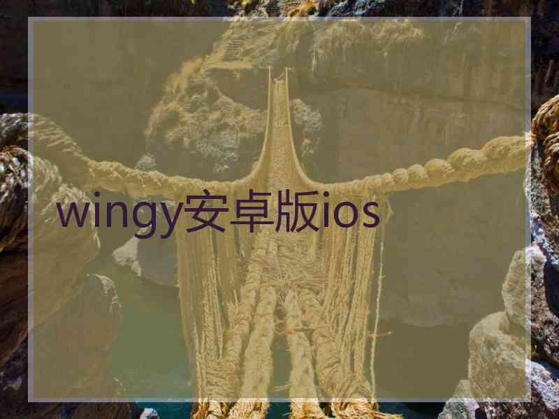 wingy安卓版ios