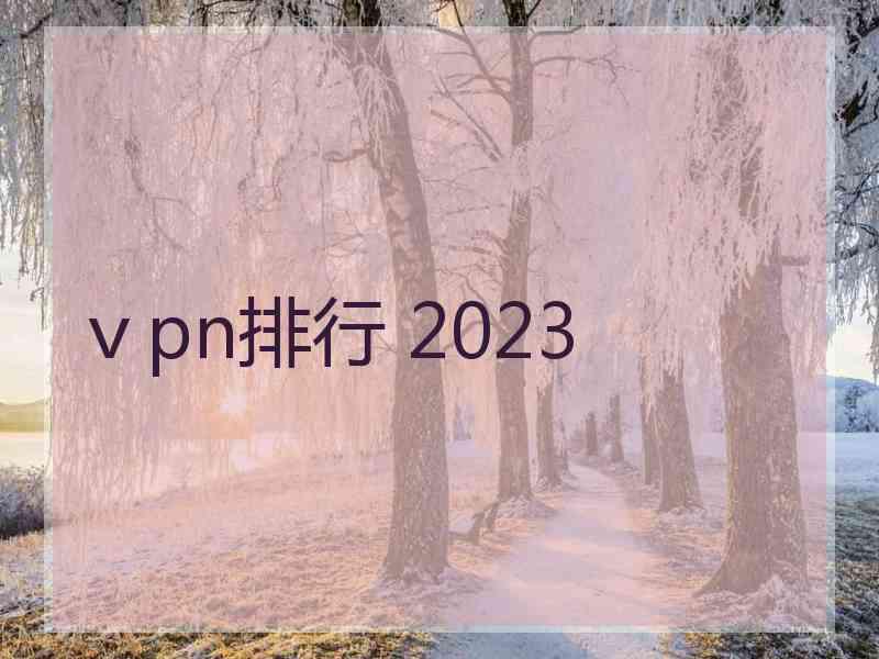 ⅴpn排行 2023