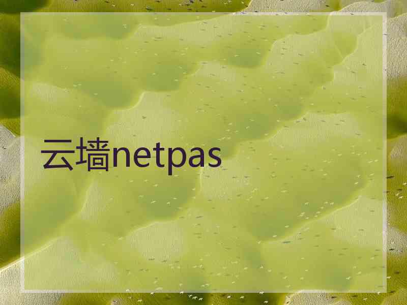 云墙netpas