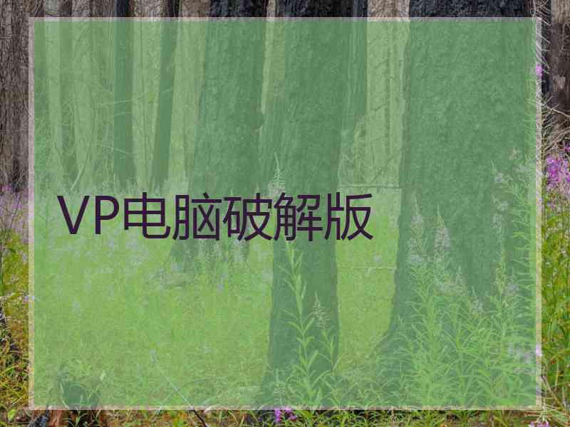 VP电脑破解版