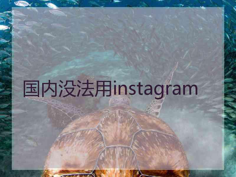 国内没法用instagram