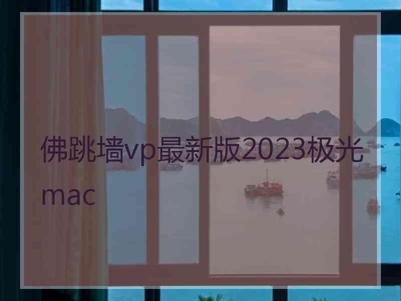 佛跳墙vp最新版2023极光 mac