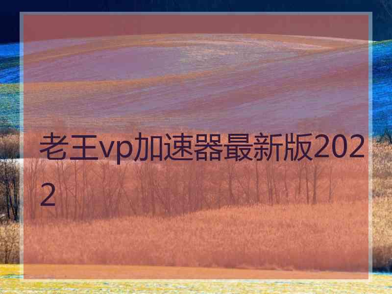 老王vp加速器最新版2022