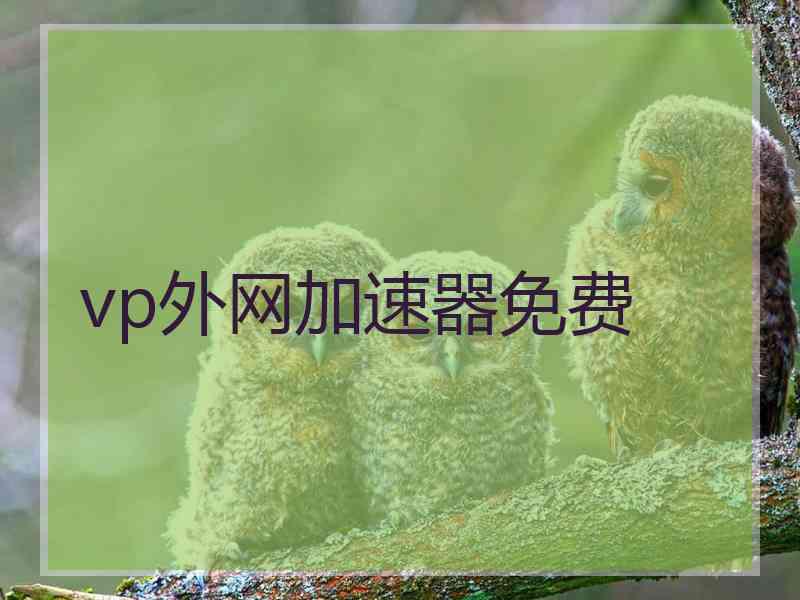 vp外网加速器免费