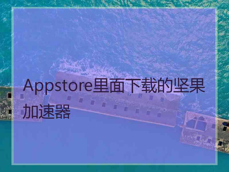 Appstore里面下载的坚果加速器