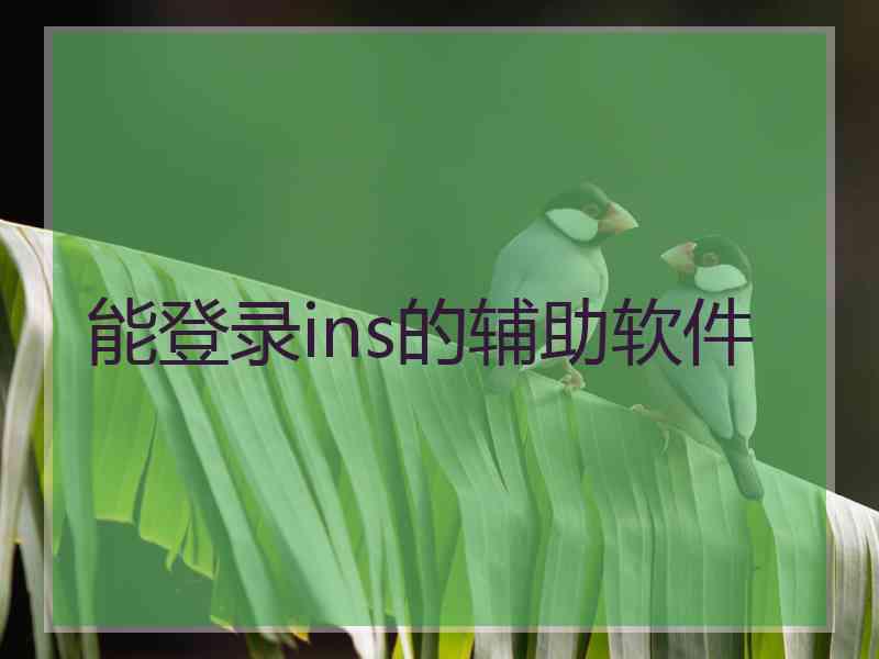 能登录ins的辅助软件