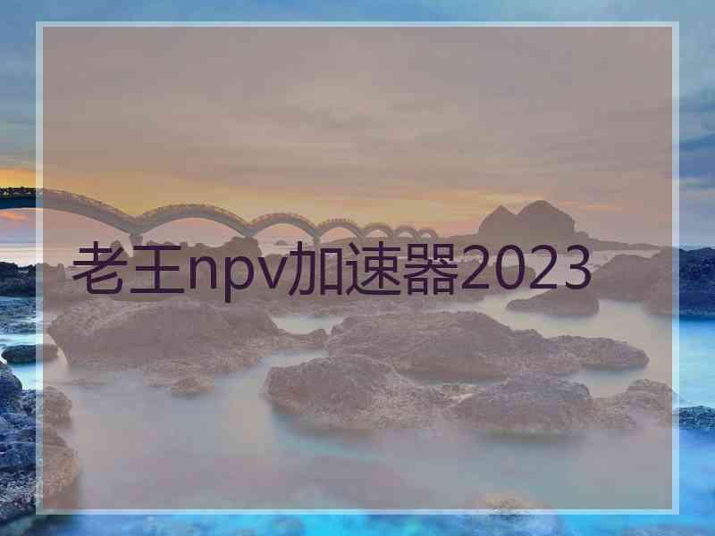 老王npv加速器2023