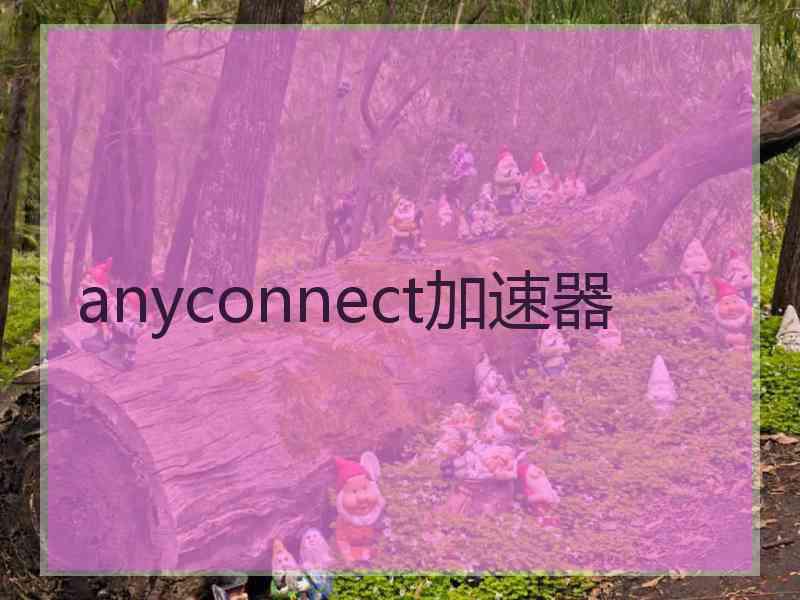 anyconnect加速器