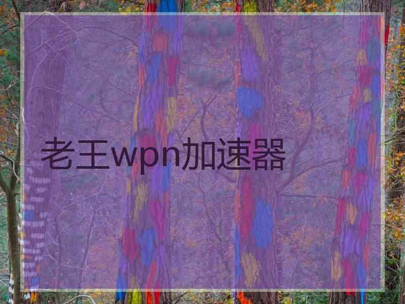 老王wpn加速器