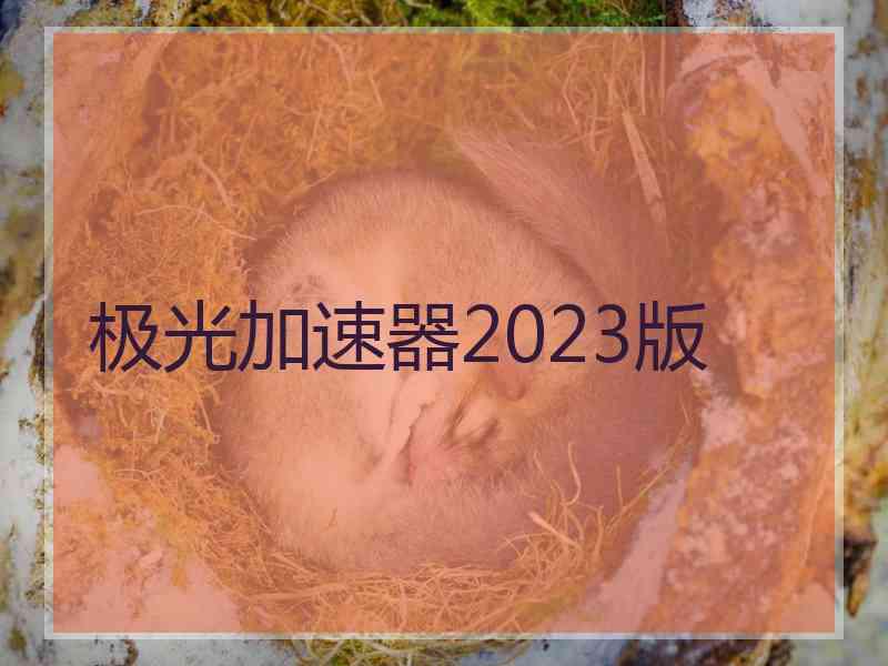 极光加速器2023版