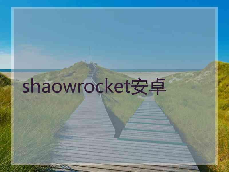 shaowrocket安卓