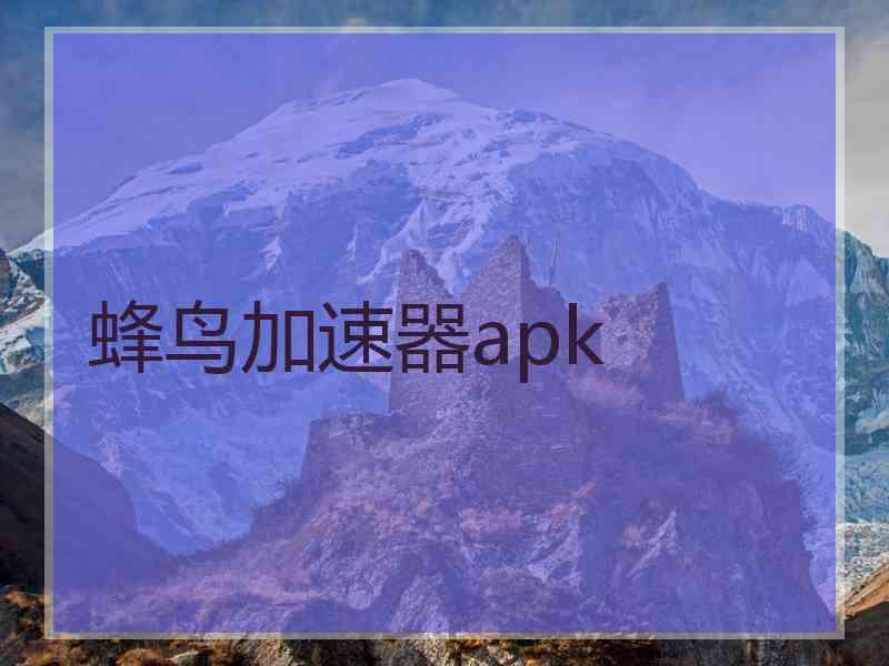 蜂鸟加速器apk