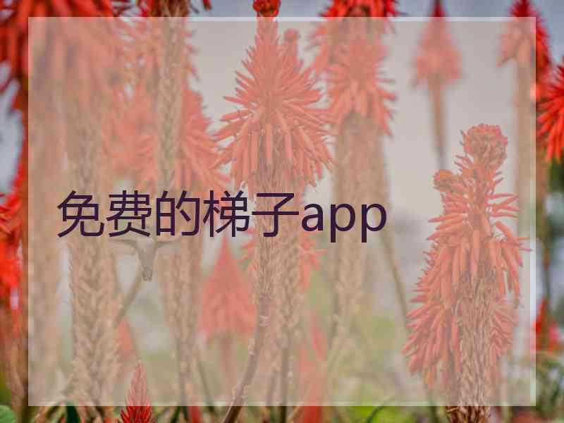 免费的梯子app