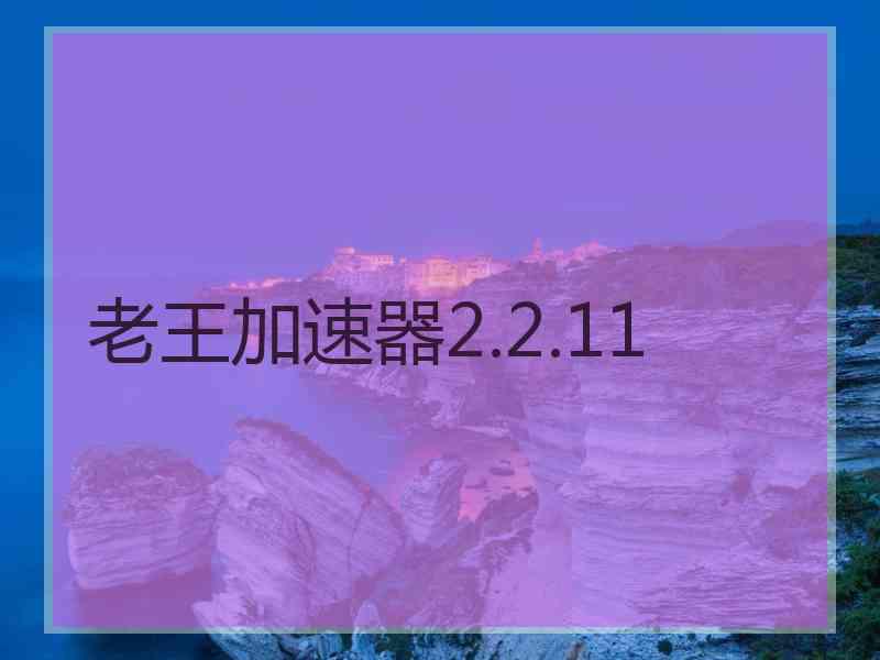 老王加速器2.2.11