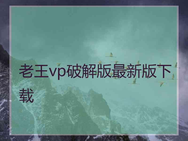 老王vp破解版最新版下载