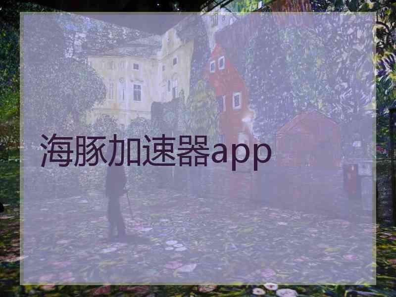 海豚加速器app