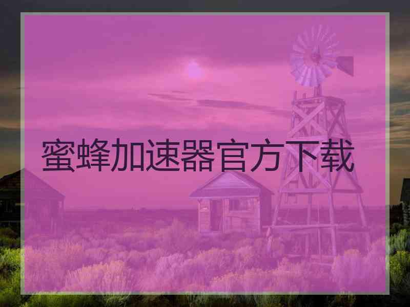 蜜蜂加速器官方下载