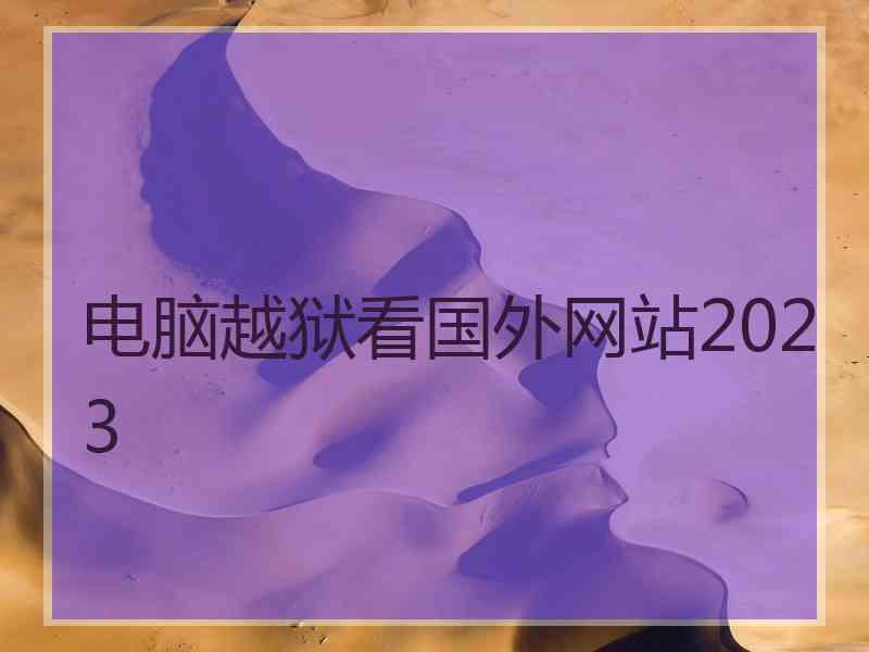 电脑越狱看国外网站2023